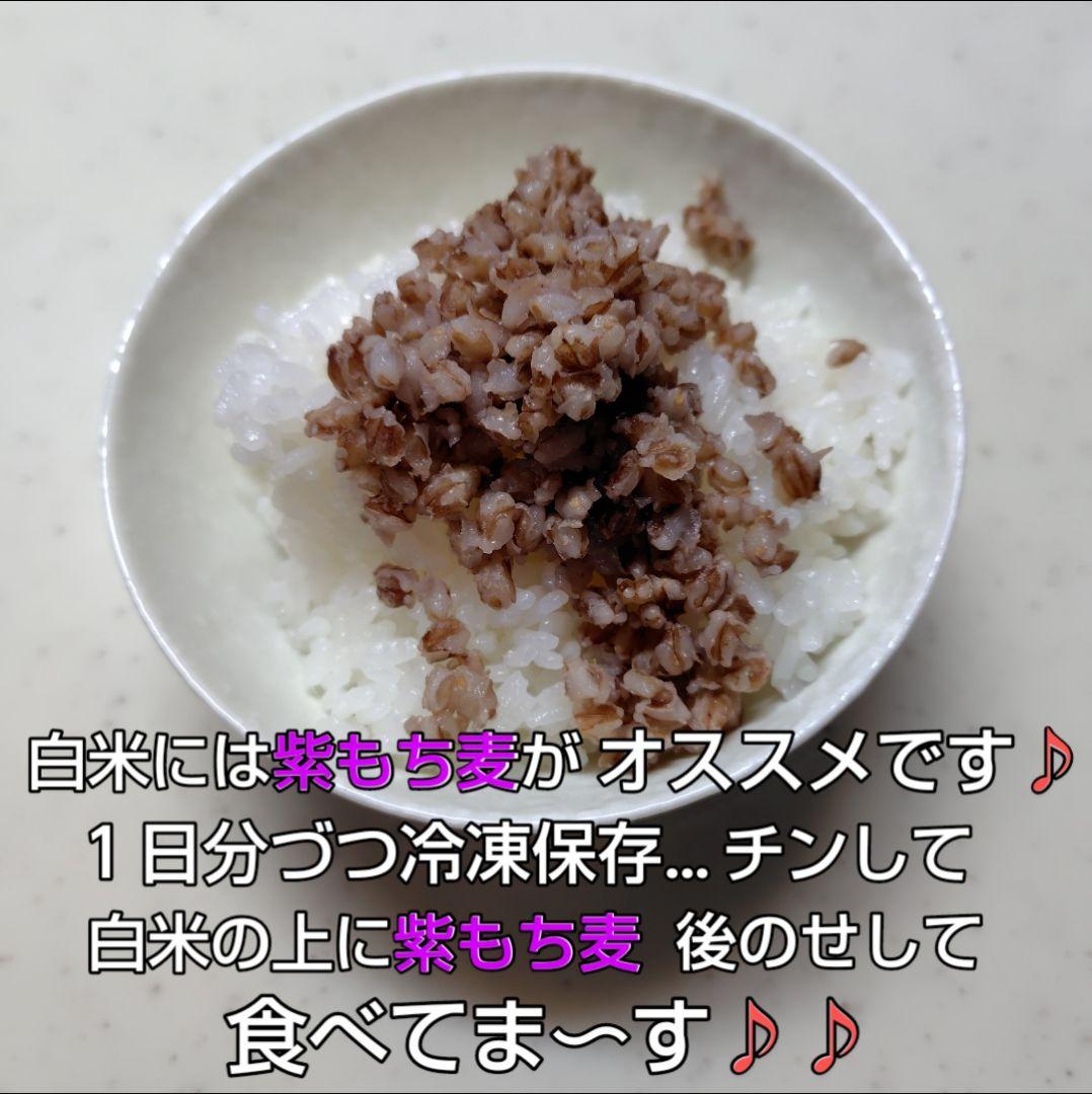 さゆ もち麦7kg 新麦 紫もち麦 ダイシモチ 精麦済