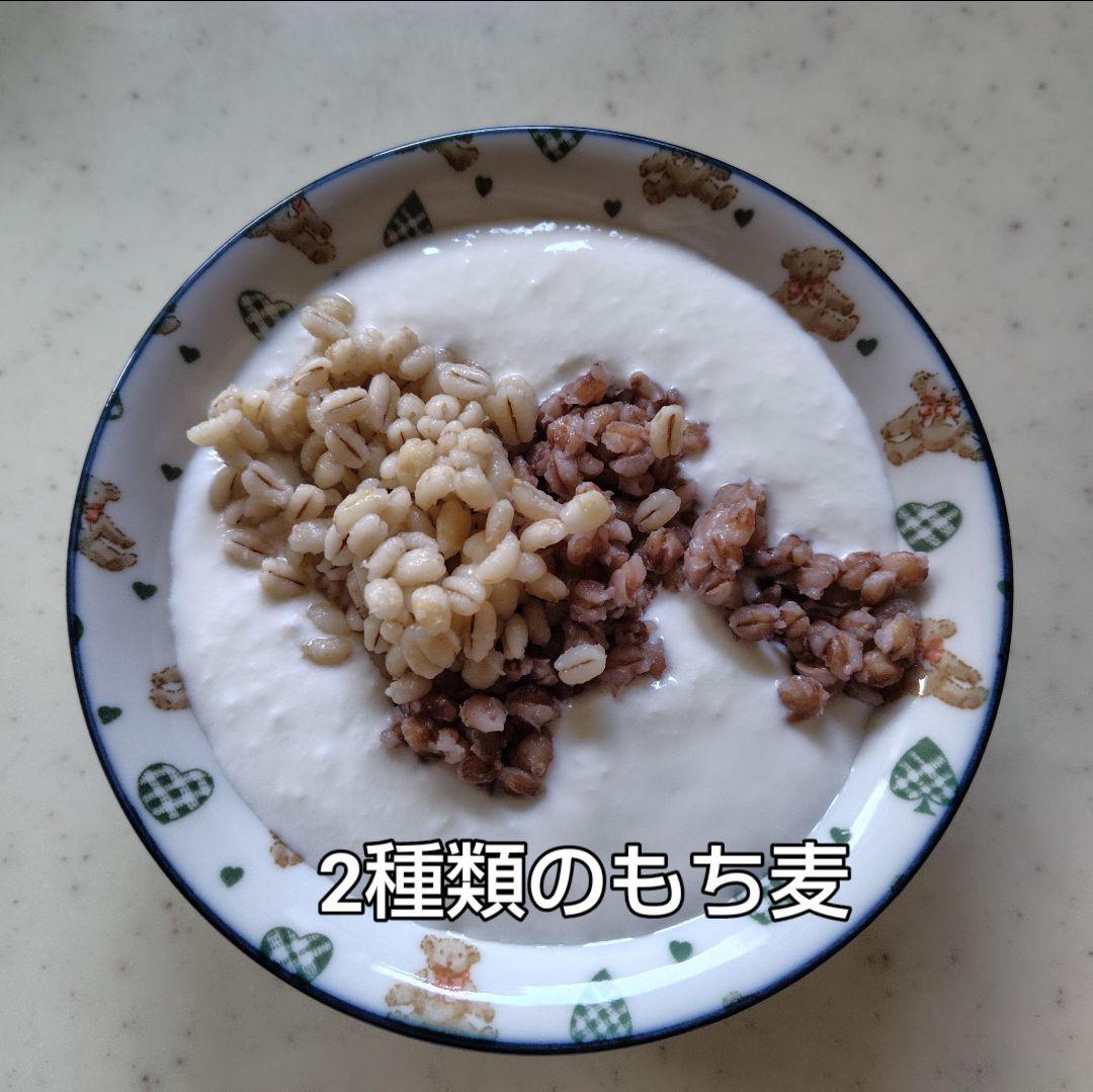 さゆ もち麦7kg 新麦 紫もち麦 ダイシモチ 精麦済