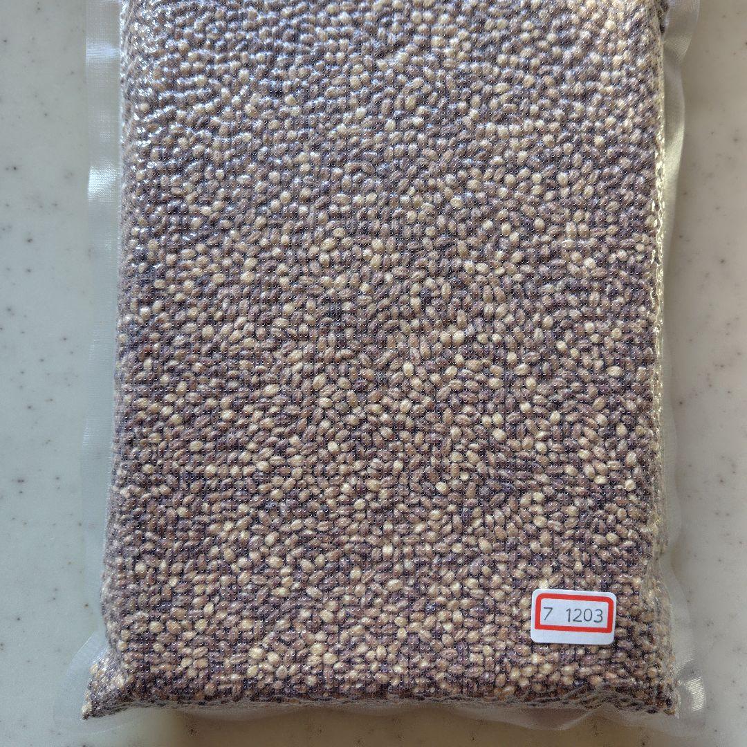 さゆ もち麦7kg 新麦 紫もち麦 ダイシモチ 精麦済