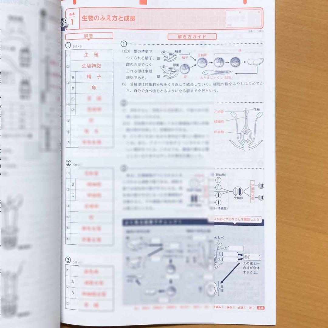 2025年度Wプリント理科3年 東京書籍版ダブルプリント【教師用】答え 解答 東 Amazon.co.jp: 2024年度版 Wプリント 理科 3年 東京書籍版【教師