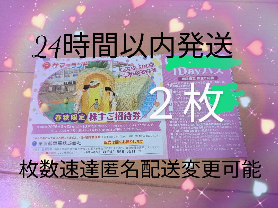 z秋冬東京サマーランドの1Dayパス2 - メルカリ