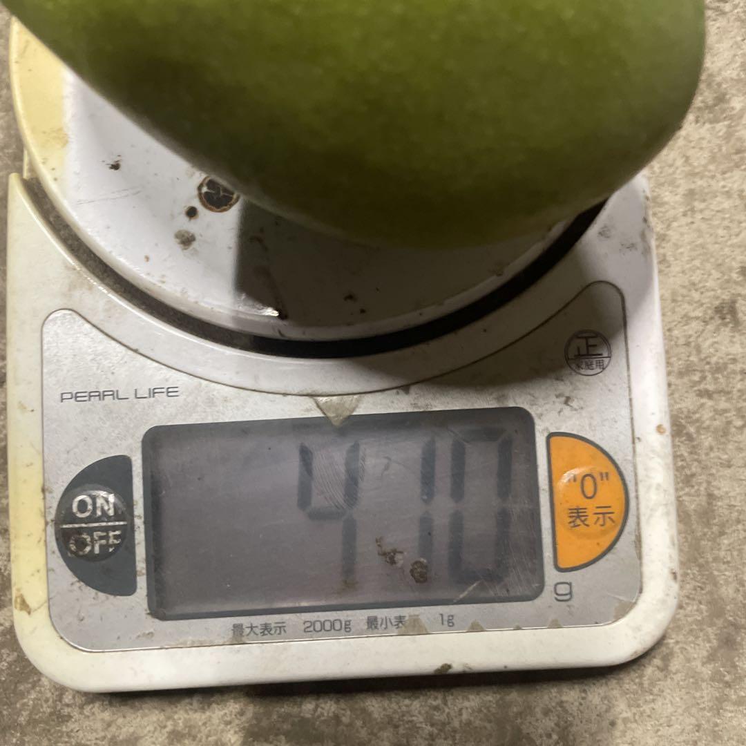 摘果マンゴー　40〜410g 6kg