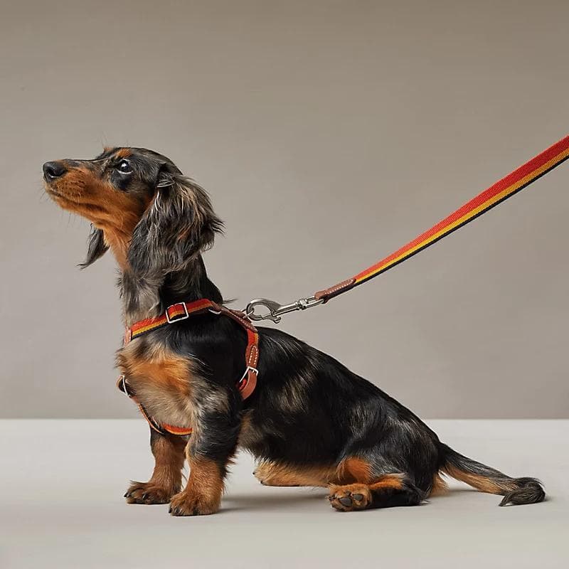 HERMES 犬用 リード ロカバール 120cm 未使用 aq11676 HERMES 犬用 リード ロカバール 120cm 未使用 aq11676