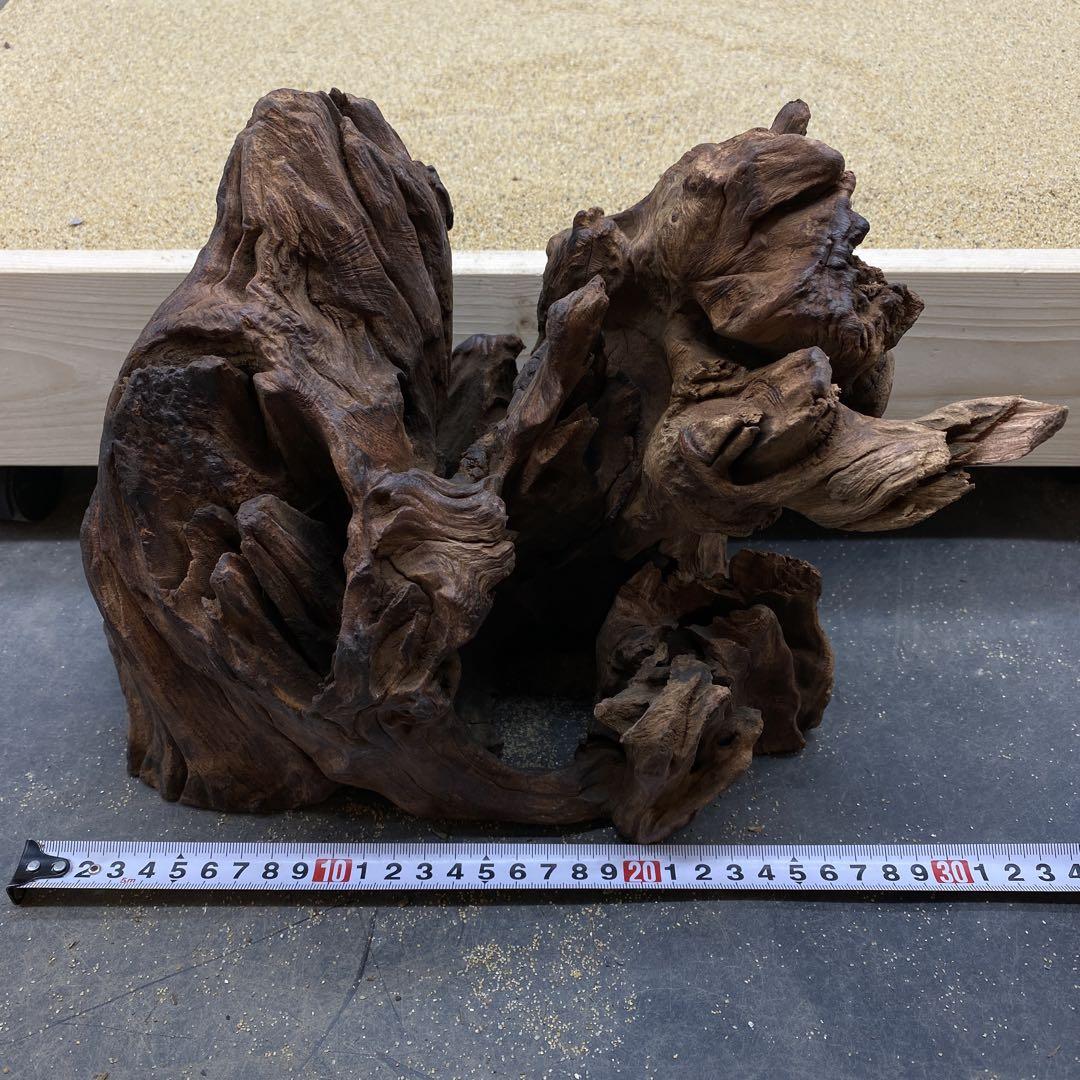 MRW-5982 赤系天然流木 自立流木 1点物 流木 アクアリウ