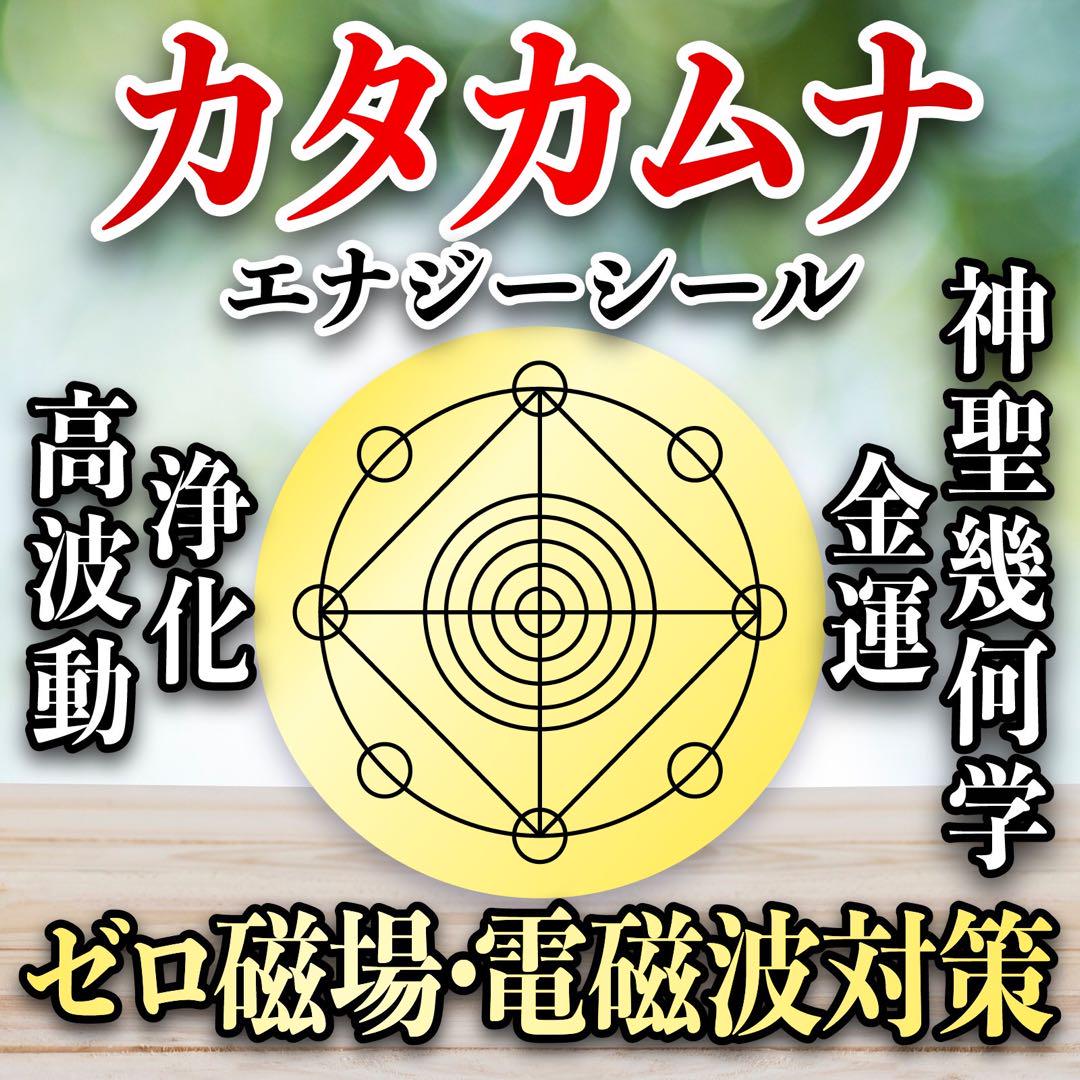 高波動ゼロ磁場リングカタカムナバージョン