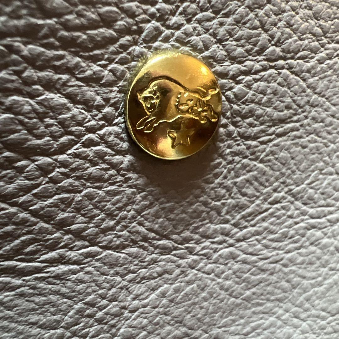 BISONTE イルビゾンテ