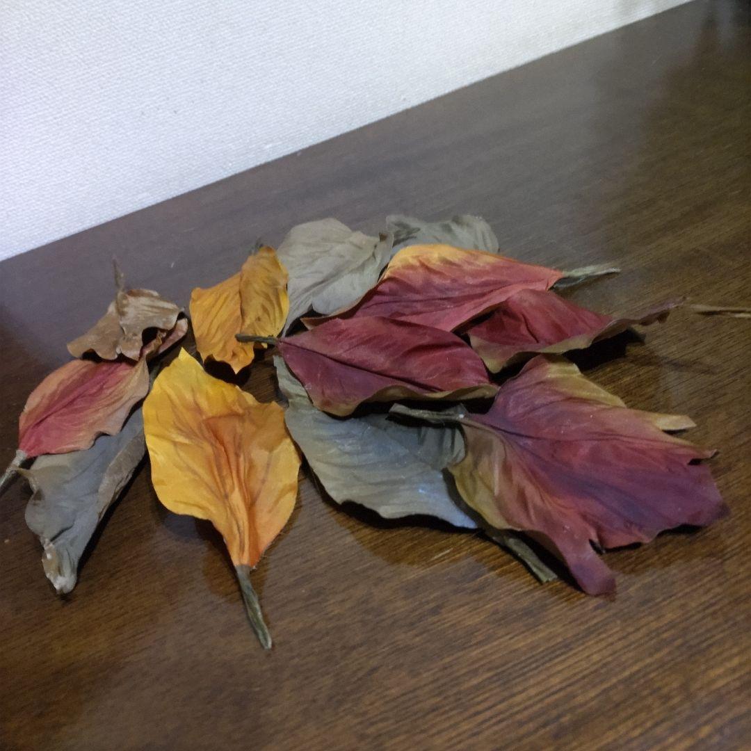 染花