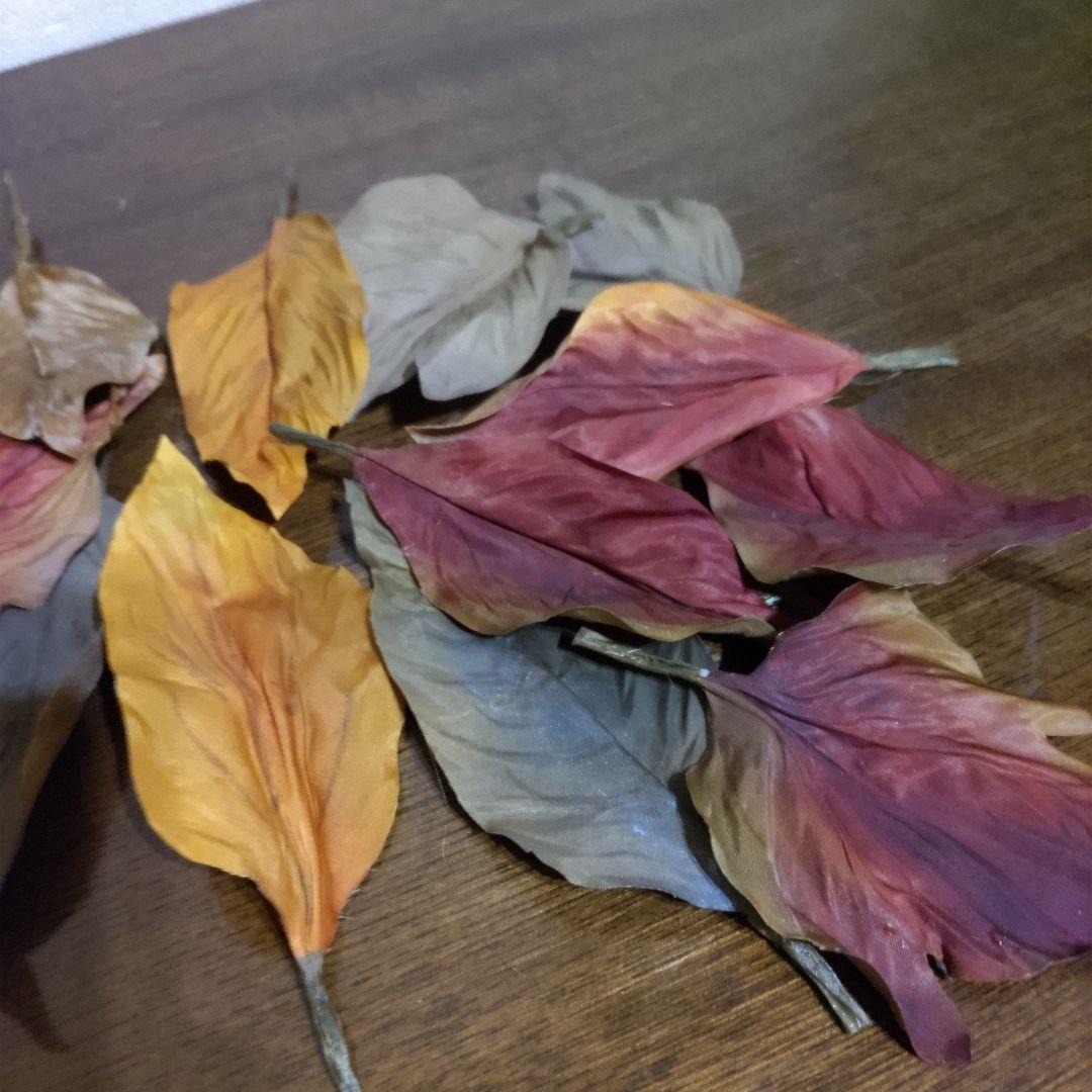 染花 枯葉12枚他3点