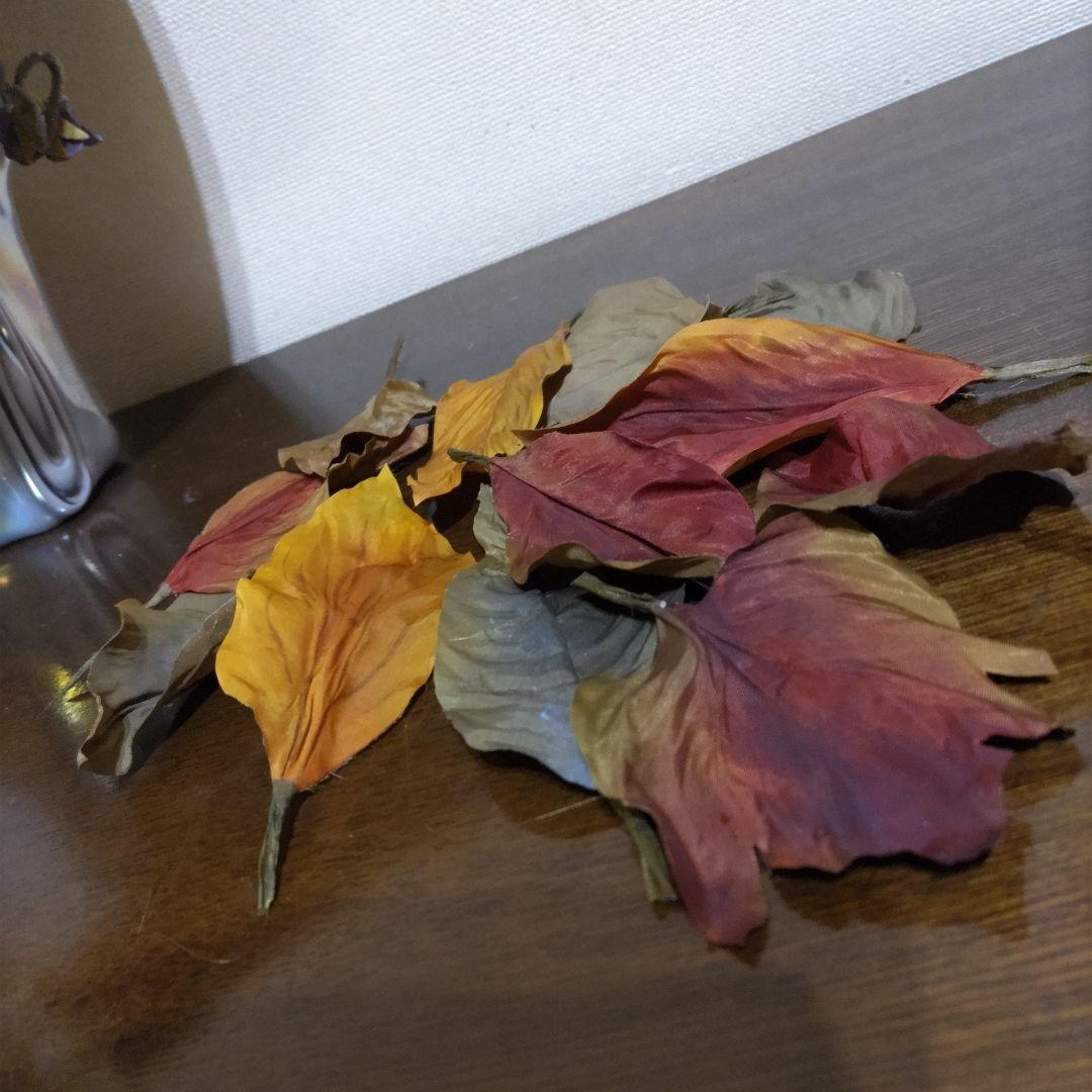 布花 染花