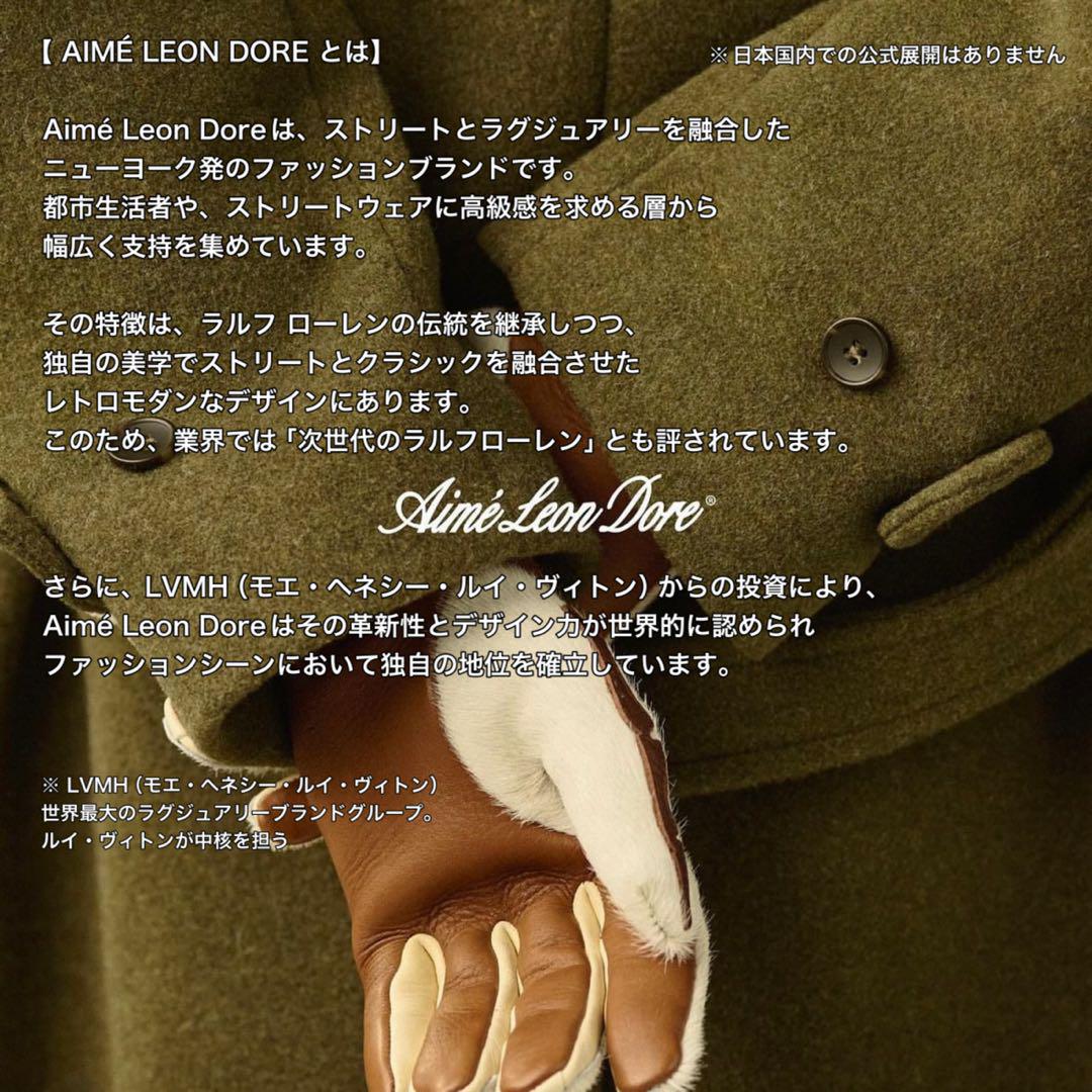 【新品】24ss エメレオンドレ フィンガーレス  グローブ タン  L/XL