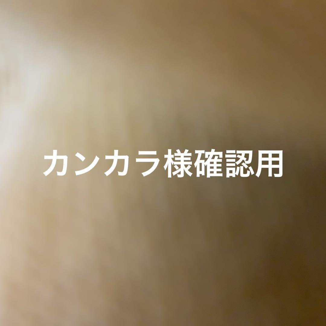 カンカラ様確認用