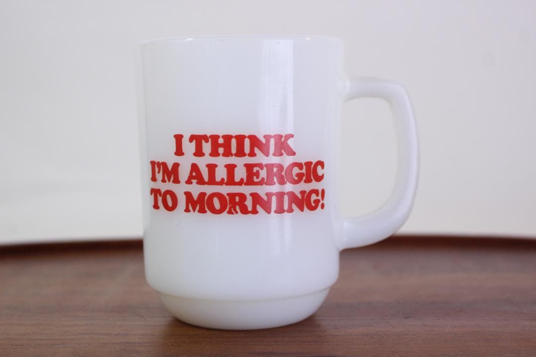 1960～76年　ファイヤーキング　スヌーピー　モーニングアレルギー　マグカップ