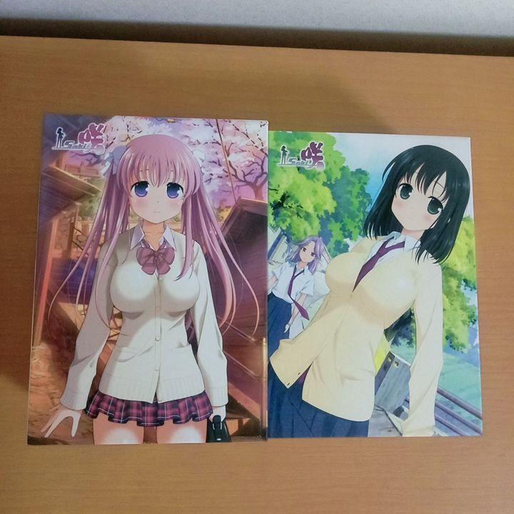 【不備有り】咲‐Saki‐　初回限定版　DVD　全9巻　セット