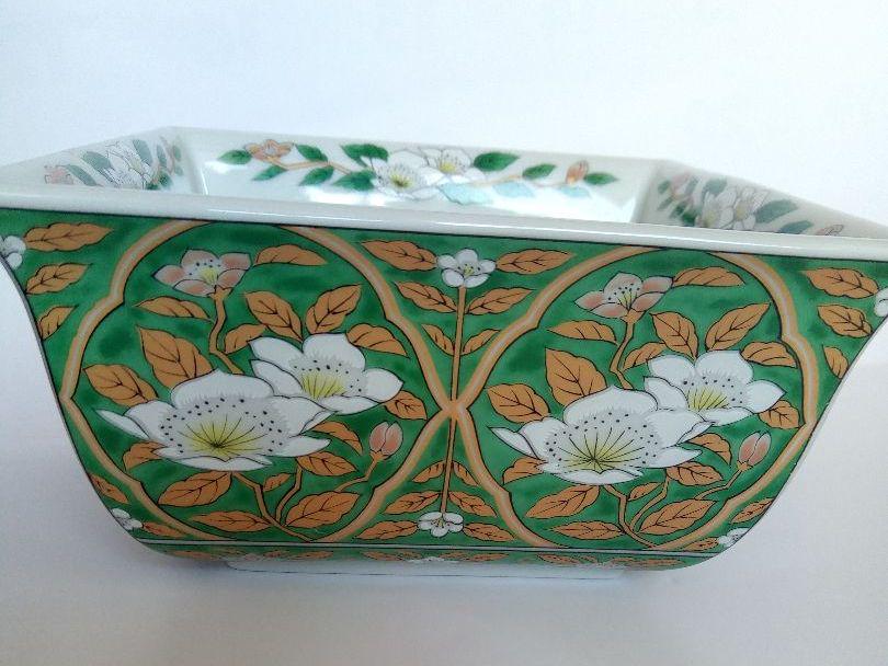 醍醐 緑彩 山茶花 角鉢