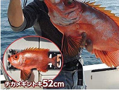 AY 100g*2 120g*1 150g*1 タイラバ テンヤ PiOnl-m44734690776 タングステン 正規激安