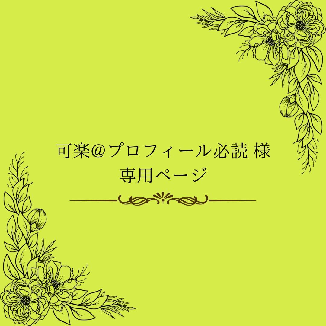 可楽@プロフィール必読 様 専用ページ