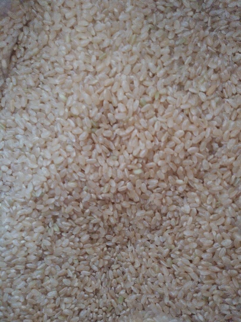 減農薬米　玄米　岩手産　ひとめぼれ　30kg