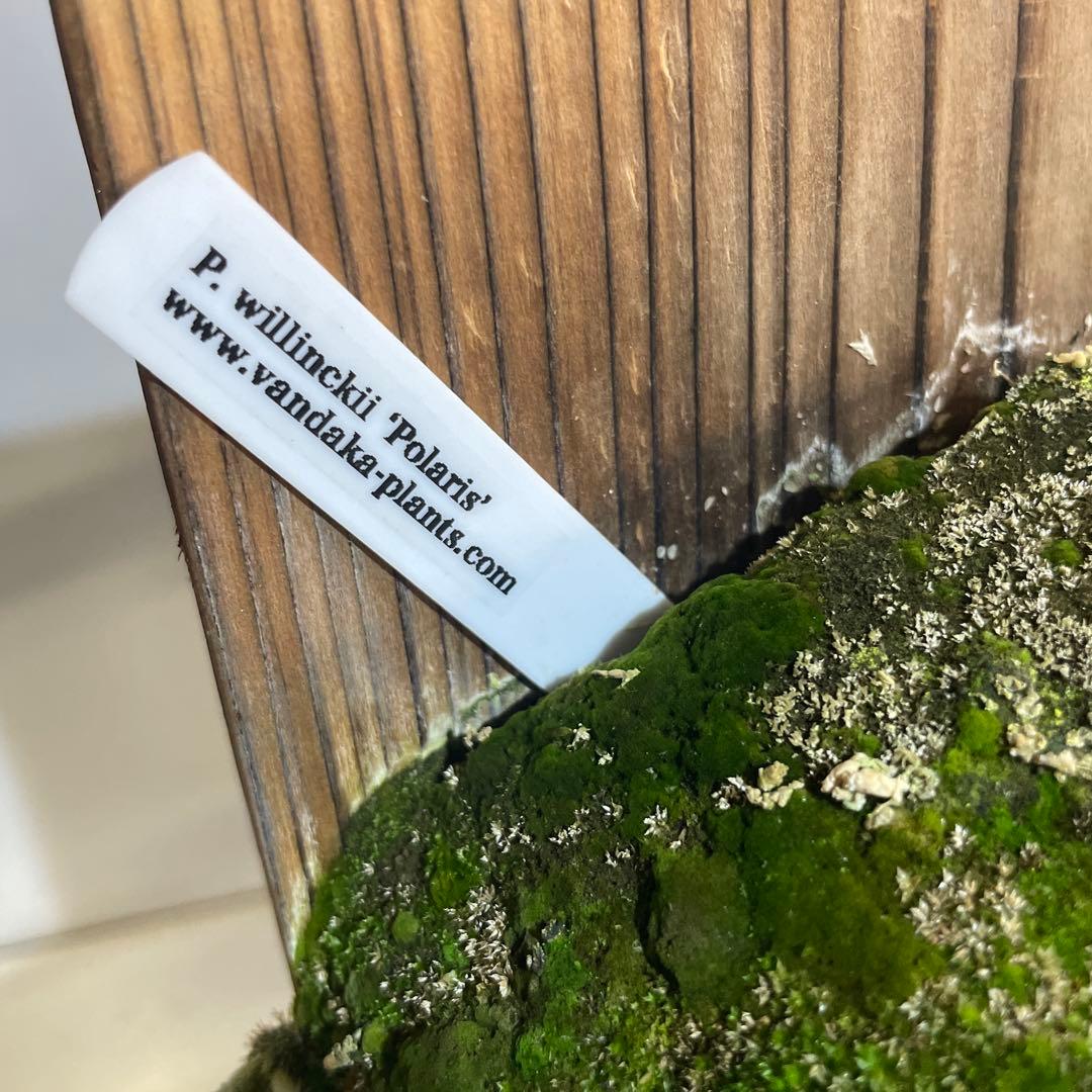 2やや傷や汚れあり