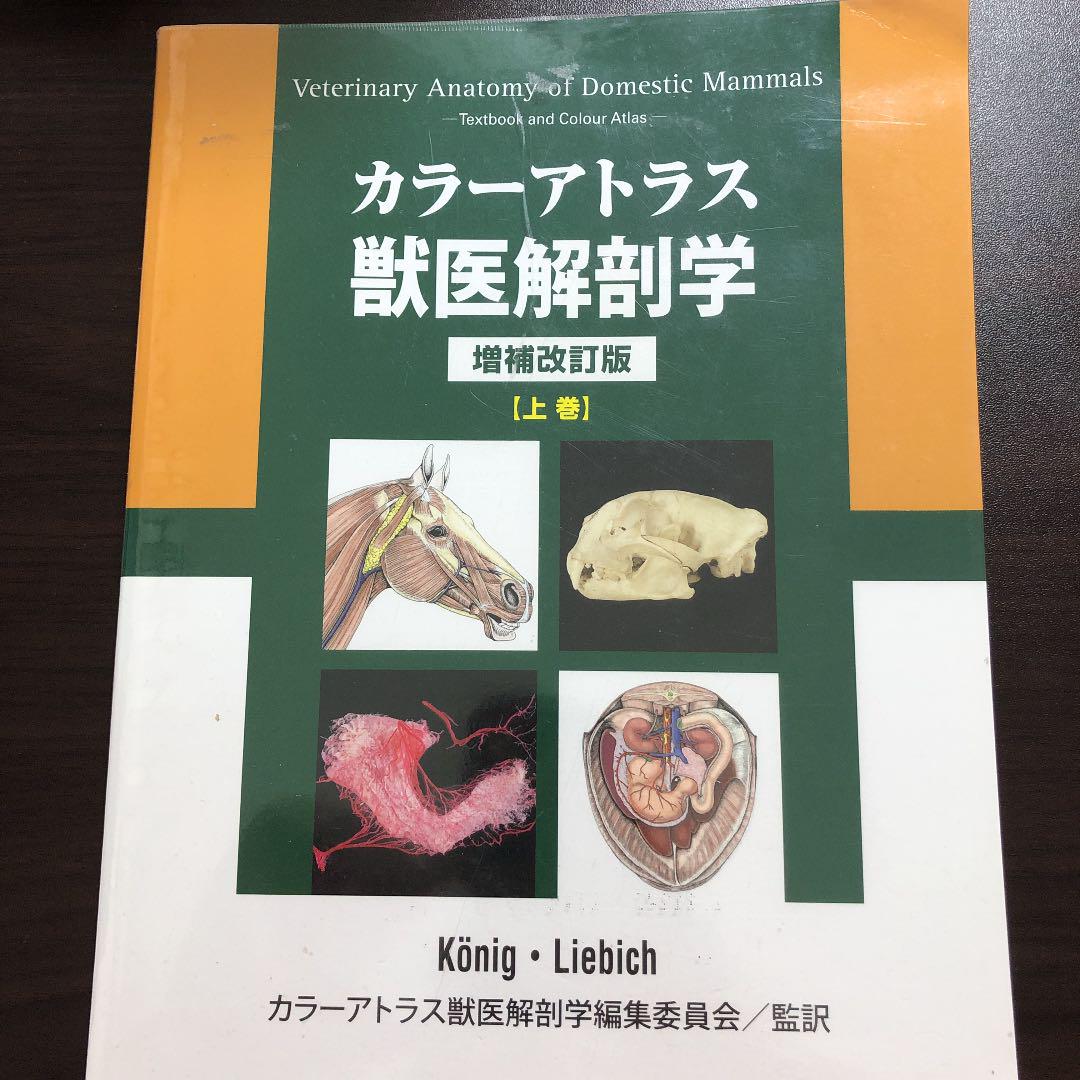 カラーアトラス獣医解剖学 上巻 - メルカリ