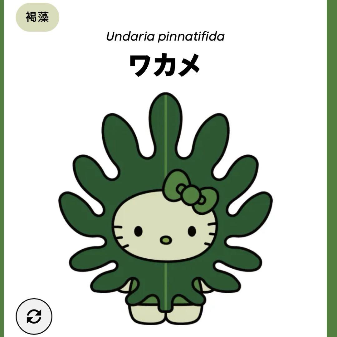 今週のおすすめ製品 モンチッチ様 リクエスト メルカリ - まとめ商品 2点 ぬいぐるみ