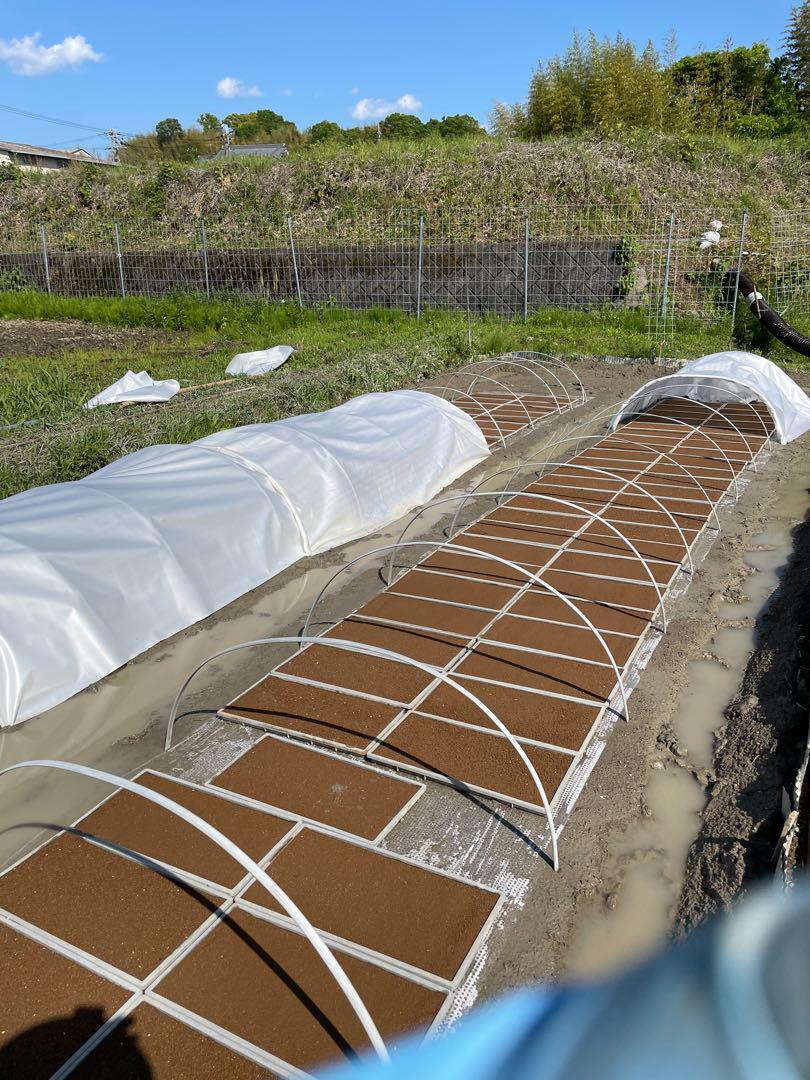 奈良県産自然栽培ヒノヒカリ5kg精米