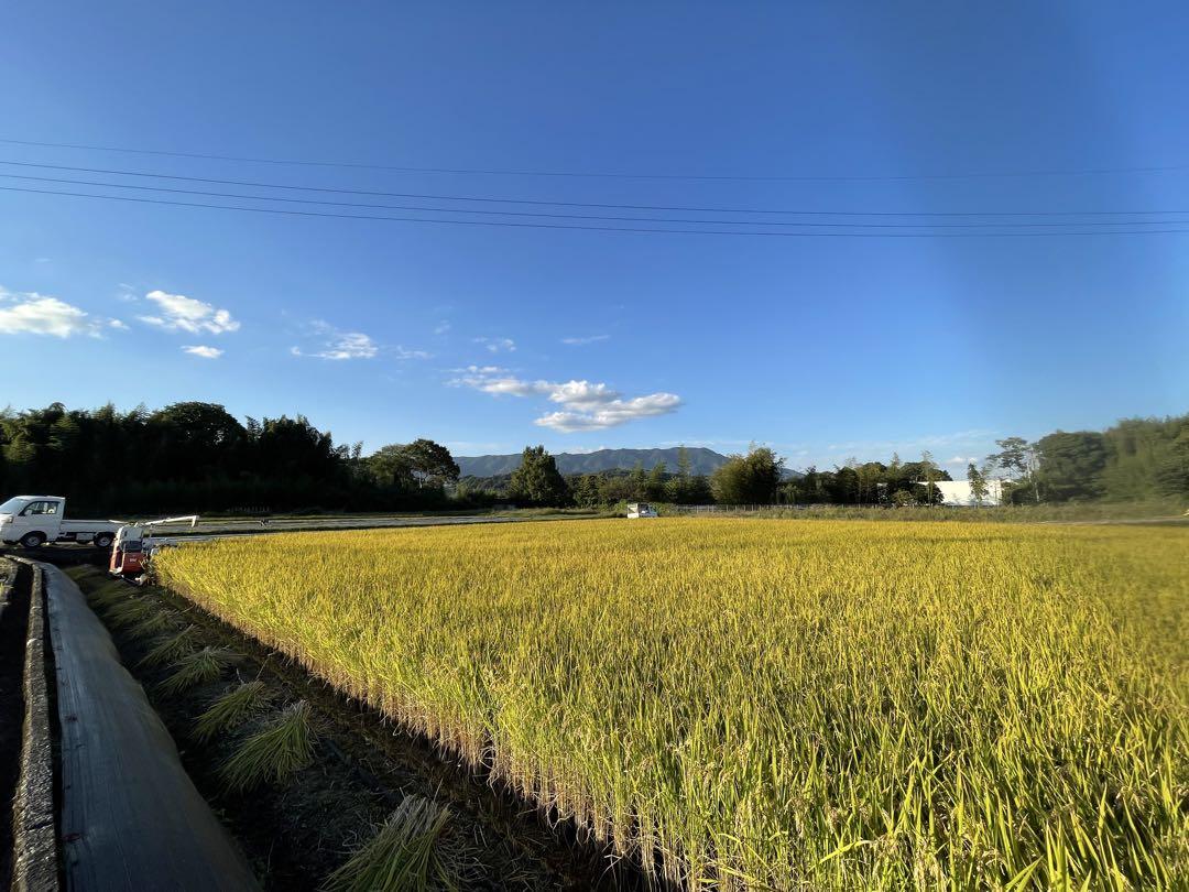 奈良県産自然栽培ヒノヒカリ5kg精米
