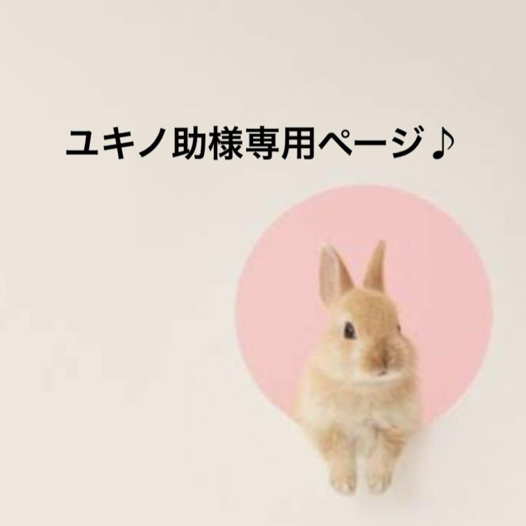 ユキノ助様専用ページ♪