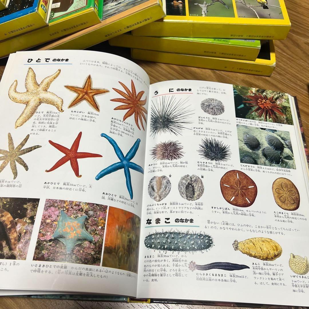 小学館の学習百科図鑑10冊セット④ 送料無料 小学館の学習百科図鑑 10冊セット 平成初期 レトロ
