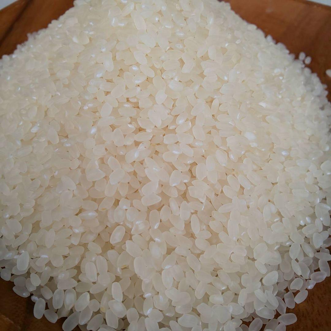 【綺麗な大粒揃い】農薬不使用 化学肥料不使用 ヒノヒカリ白米 10kg