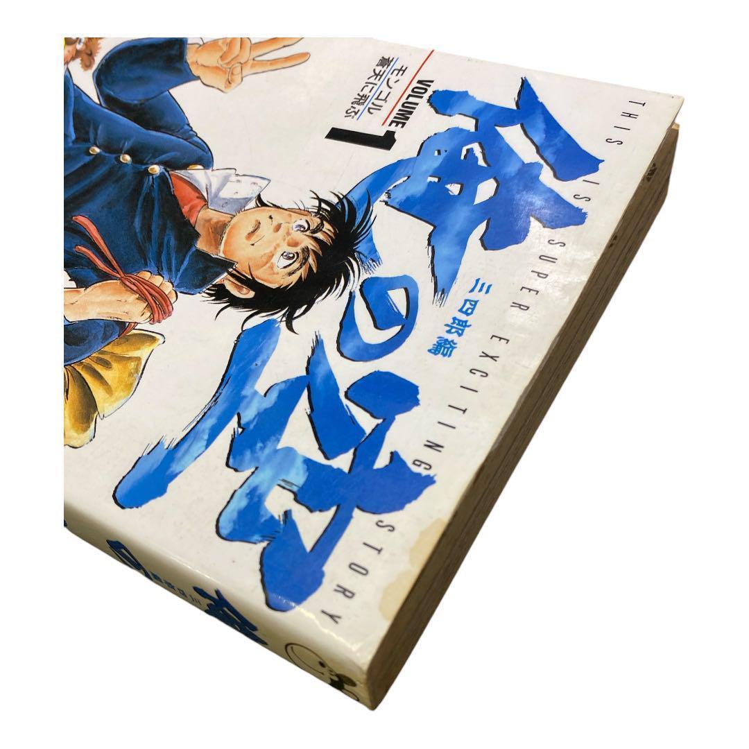 本宮ひろ志　30冊セット 昼まで寝太郎 俺の空　赤龍王　柳生　山崎銀次郎　全巻 71jRg+x-WvL._UF350,350_QL50_.jpg