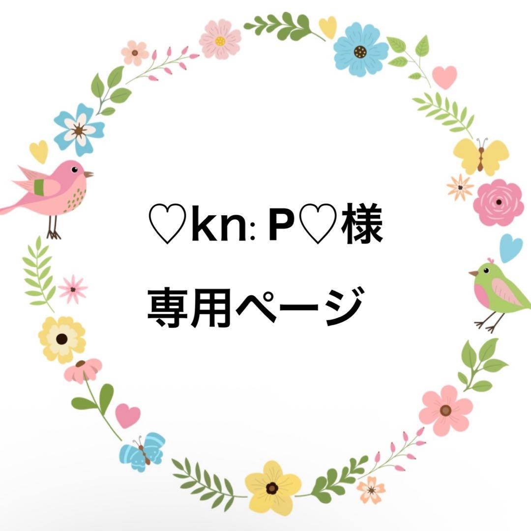 ♡kn:P♡様専用ページ♡回路カバー
