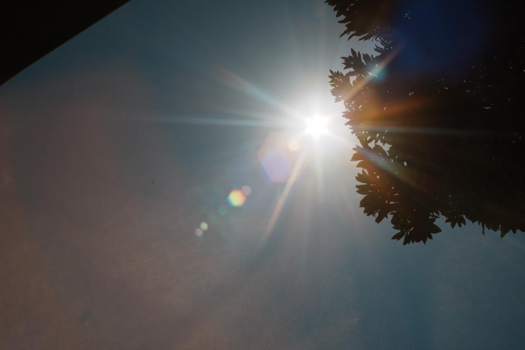 【希少8枚玉】動作◎ Super Takumar 50mm F1.4 前 220