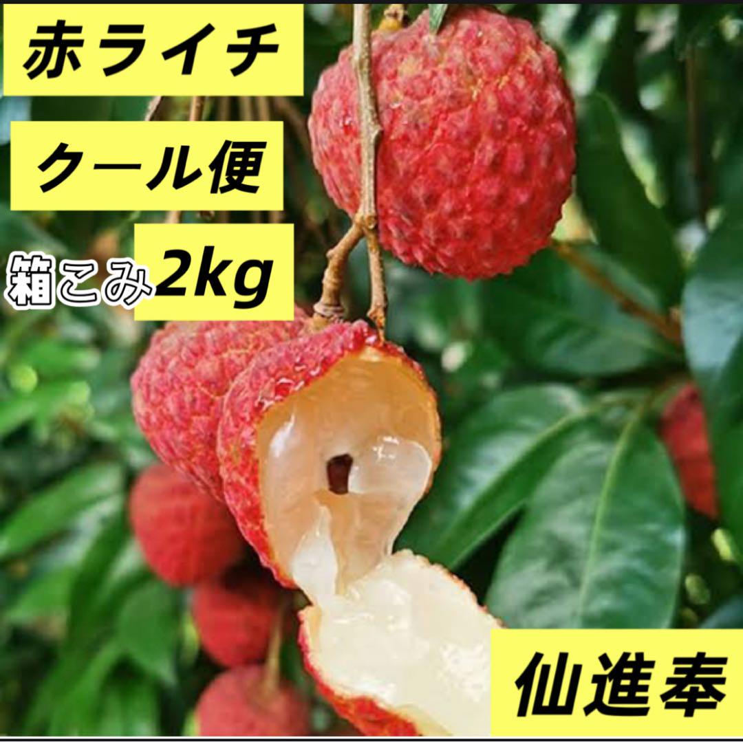 2KG ベトナム産　生ライチ　クール便込み 専用箱こみ2kg‼️クール便‼️新鮮 生ライチ フルーツ 仙進奉荔枝