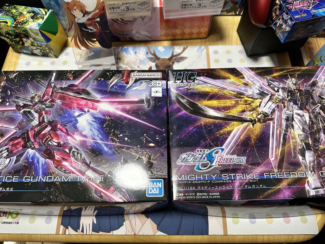 HG 1/144 マイティーストライクフリーダムガンダム、インジャ