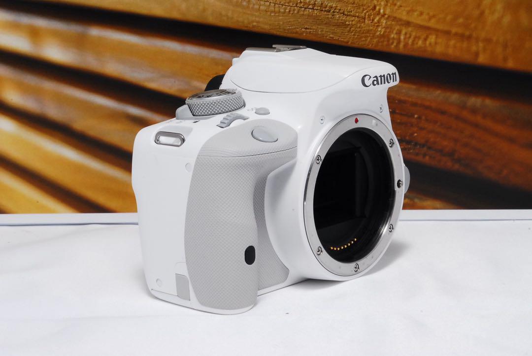 【美品】Canon EOS kiss X7 ホワイト スマホ転送標準レンズキット