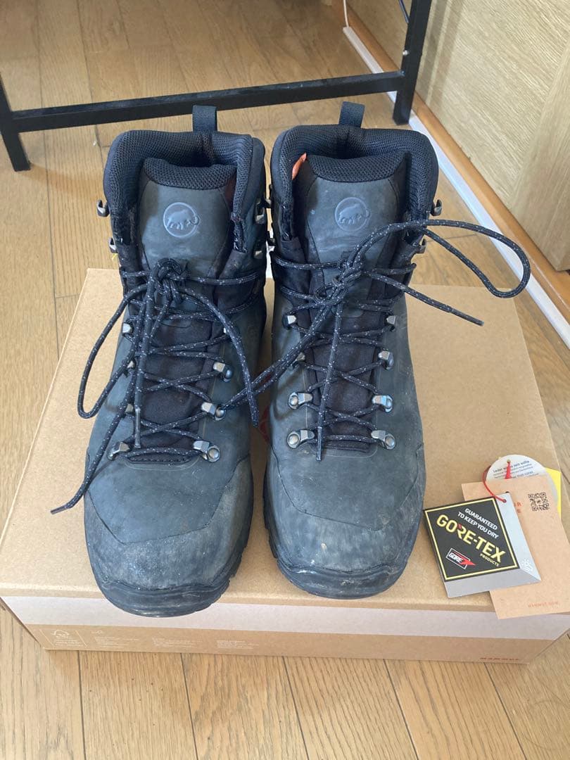 MAMMUT 42 ercury totr high gtx men