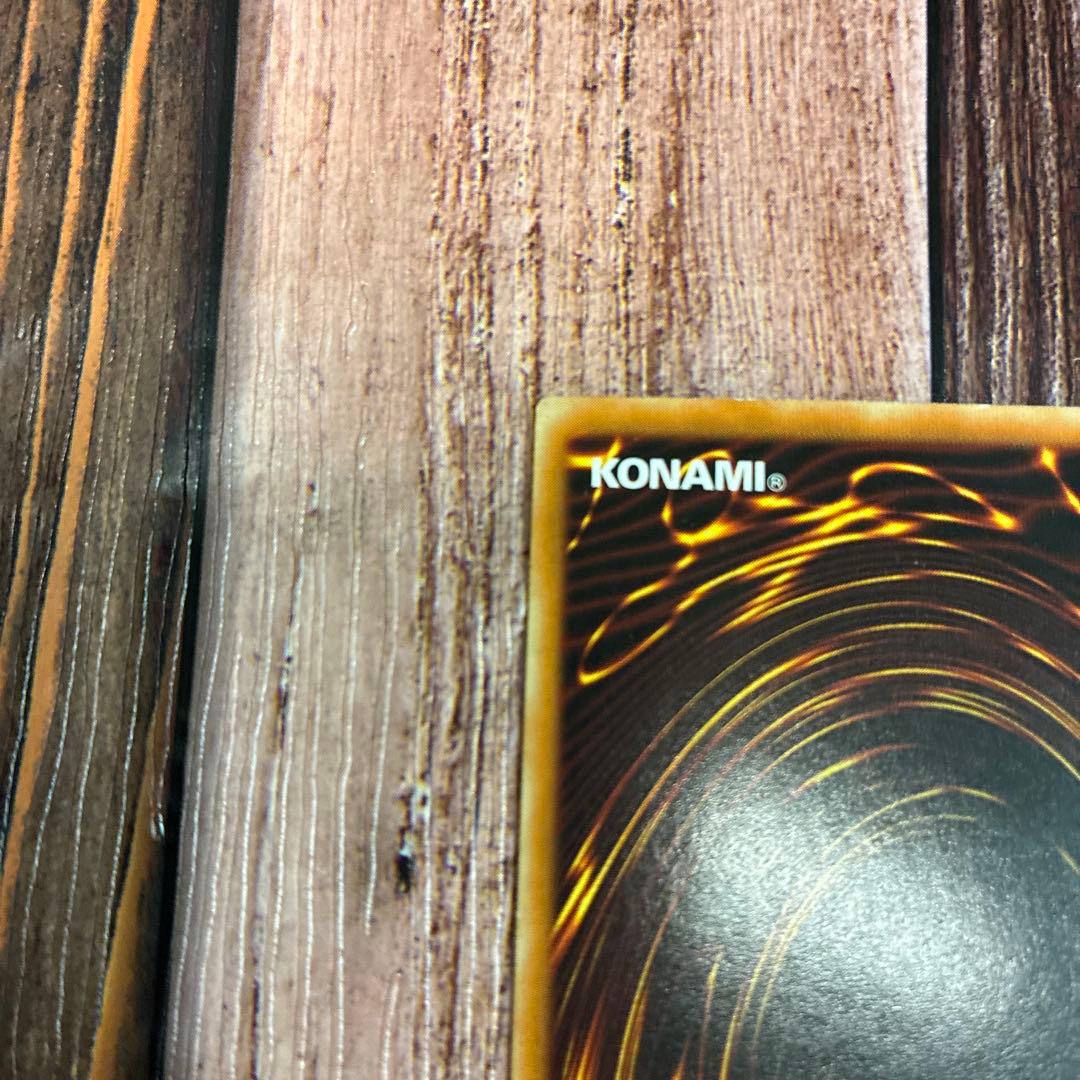 遊戯王　英語版　ハーピィズペット仔竜　レリーフ