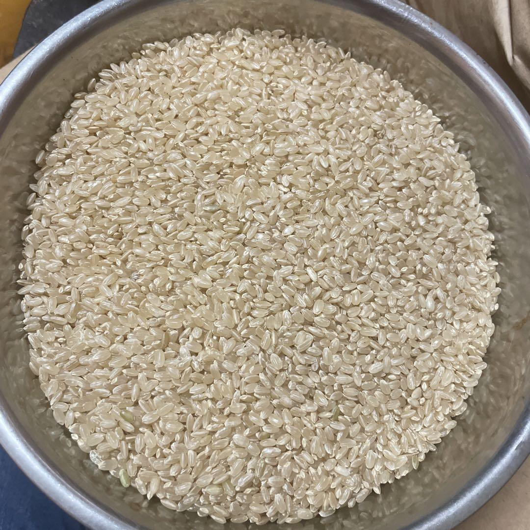 Mママ様専用　きぬむすめ　玄米　30キロ　令和５年度　岡山県産　送料込み
