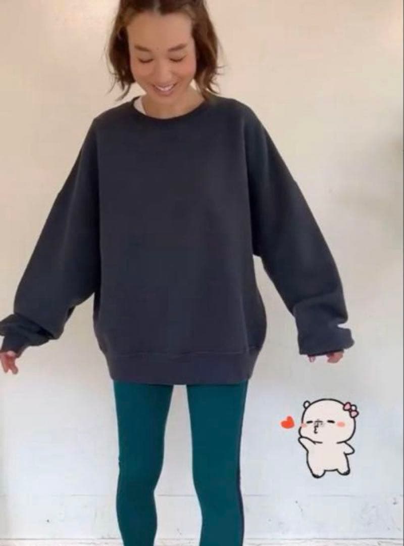 THE newhouse ザ ニューハウス チュラビスタ ビッグスウェット THE newhouse ザ ニューハウス チュラビスタ ビッグスウェット - メルカリ