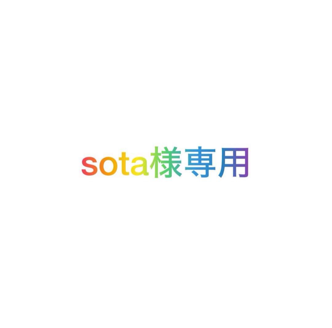 sota様専用 画像1