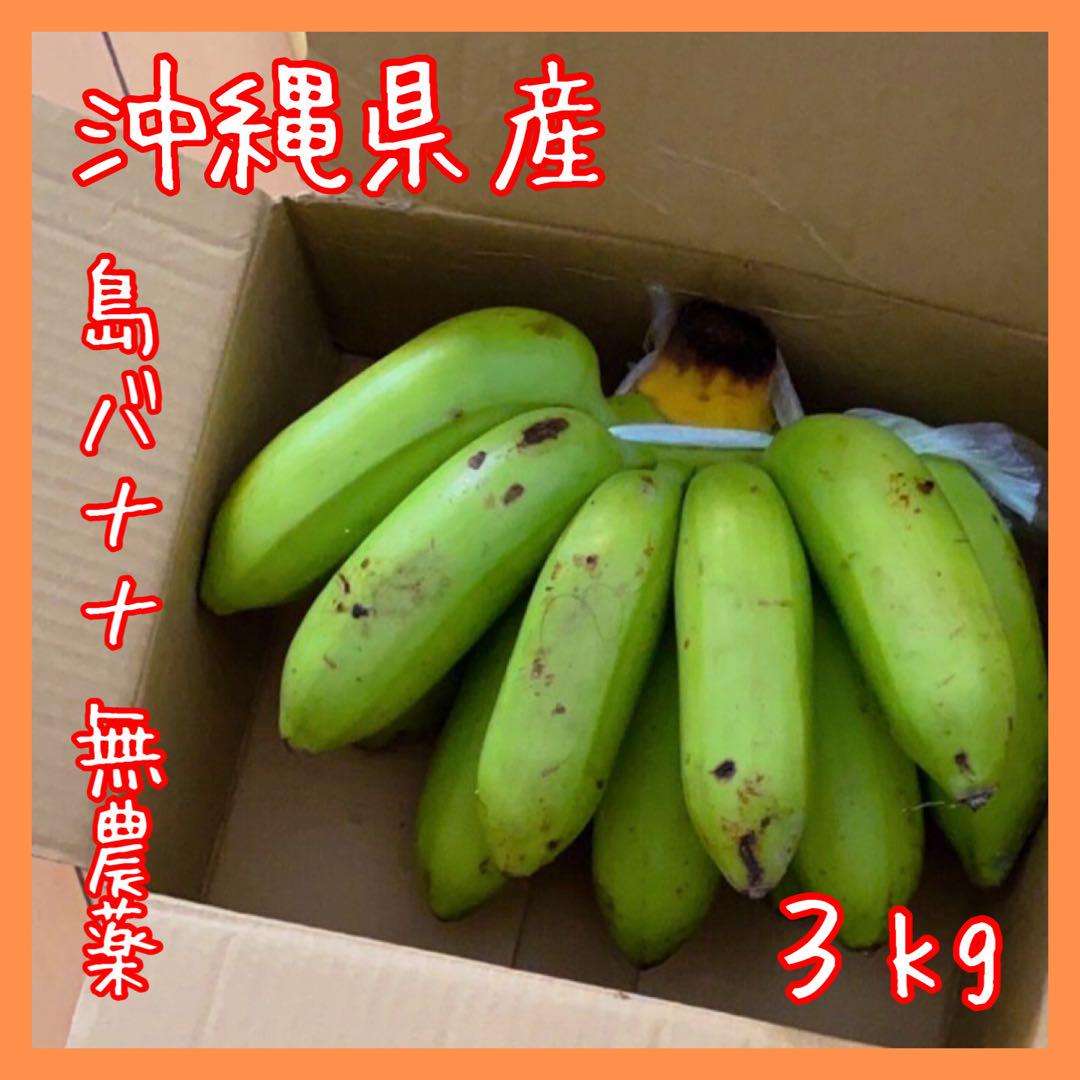 房のままお届け⭐️新鮮果物　島バナナ3キロ＋おまけ３本　旬　高級フルーツ　沖縄産③