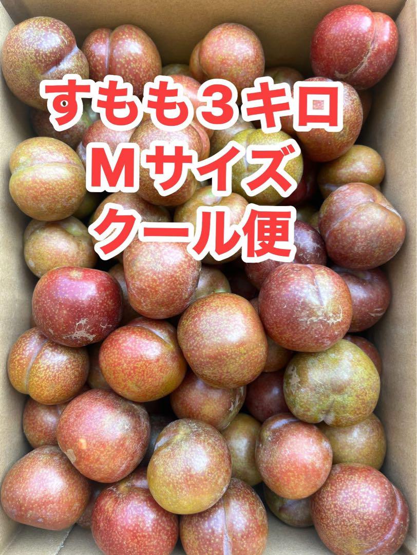 鹿児島産すもも3キロ 鹿児島産すもも3キロ - メルカリ