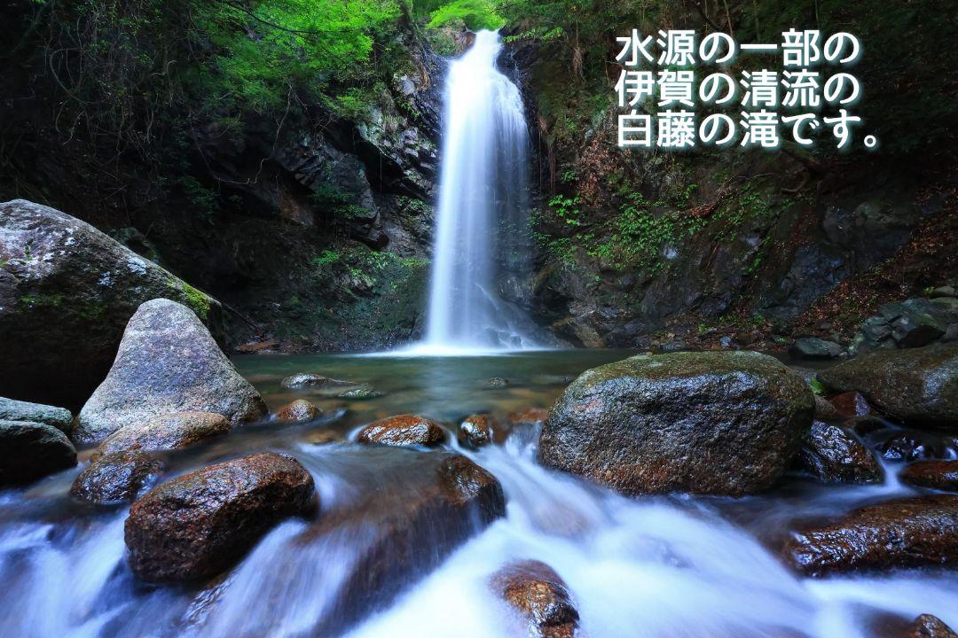 令和6年産三重県伊賀産コシヒカリ20㎏ 5㎏×4 白米（送料精米料消費税込)