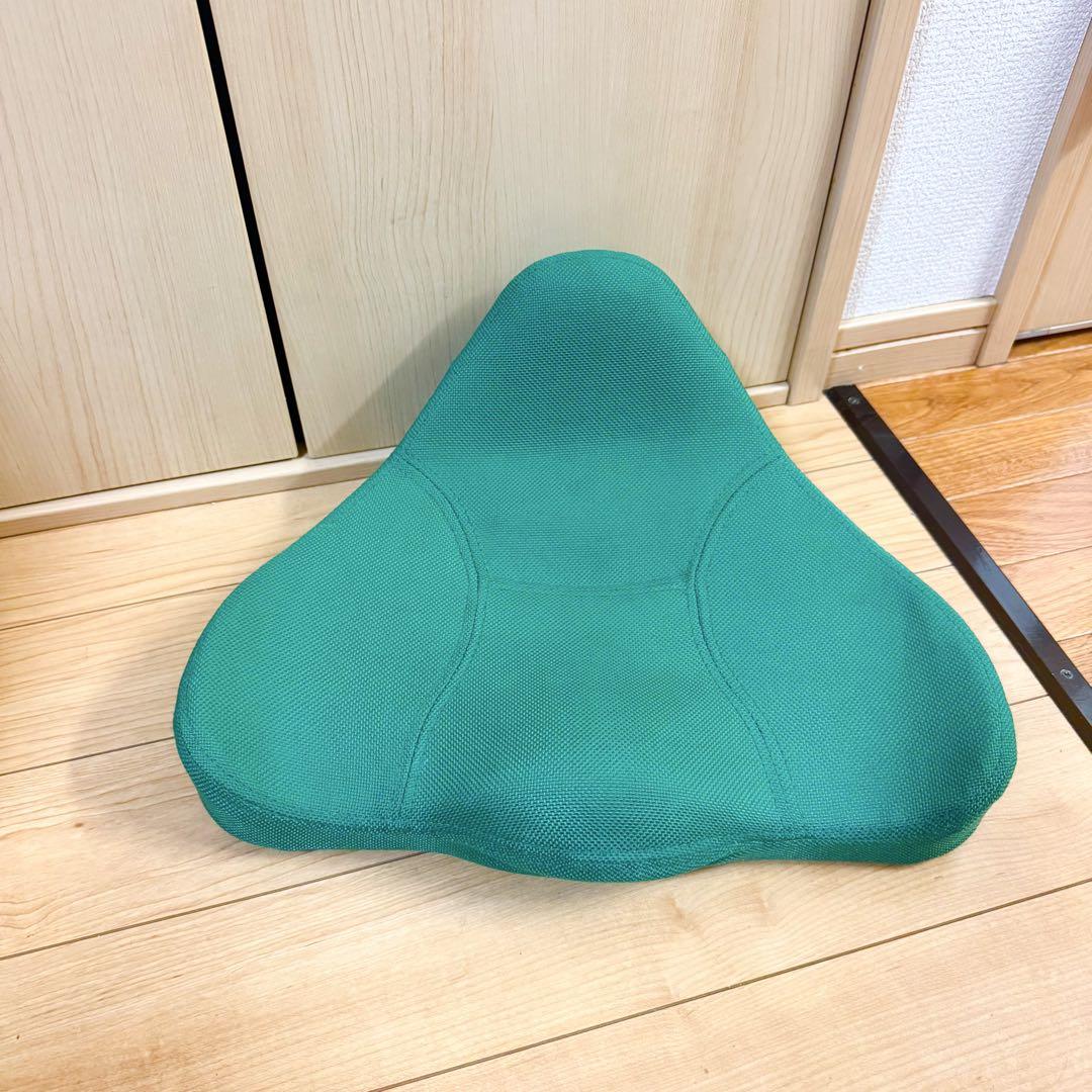 PROIDEA 馬具マットプレミアム 骨盤 姿勢矯正 健康器具 ブルー 楽天市場】テレビで紹介 【送料無料 ポイント10倍】馬具マット