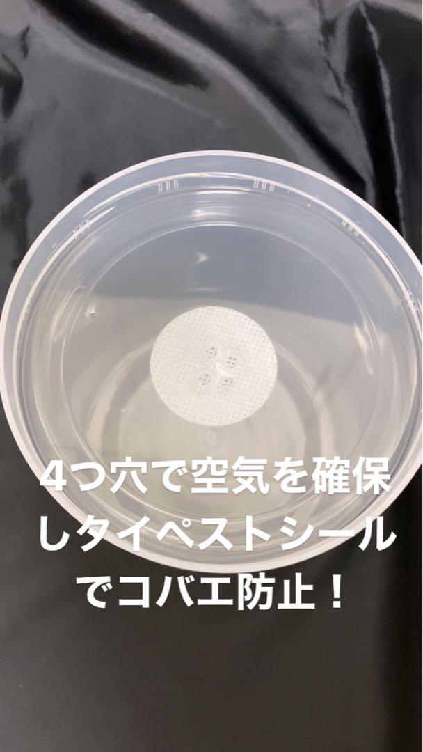 クワガタ、カブトムシ飼育　クリアボトル 1600cc 新品未使用50個 送料無料】飼育ケース クリアボトル 1600 1.6L (1600cc) 新品 48