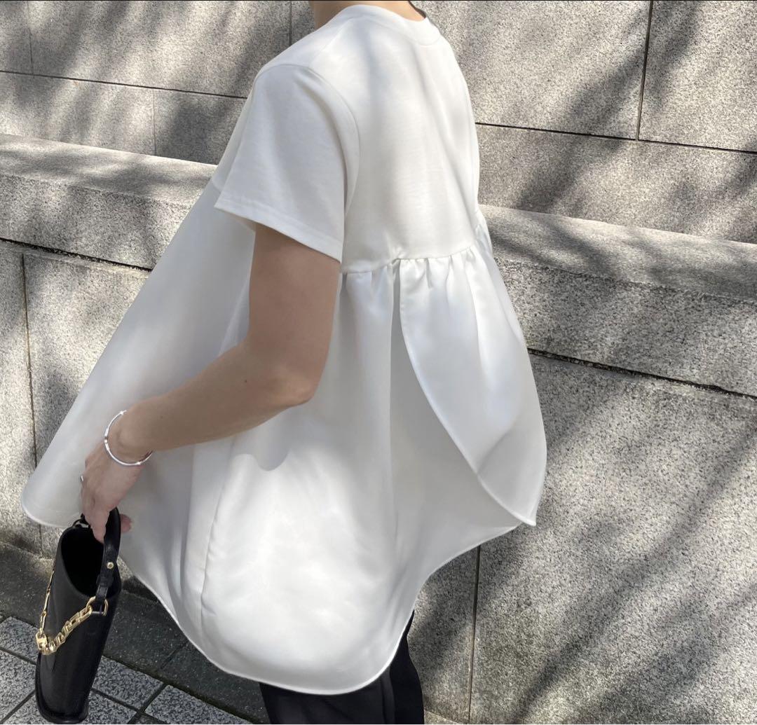 Heve ヘイヴ　LADYBUGトップス　ホワイト　新品未使用タグ付き LADYBUGトップス ホワイト