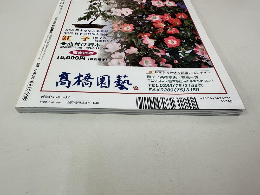 N245 さつき研究 2013年7月号 盆栽 雑誌 趣味 専門誌