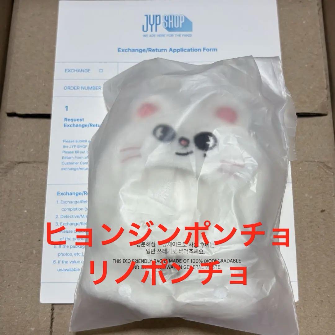 リノポンチョ、ヒョンジンポンチョ❷