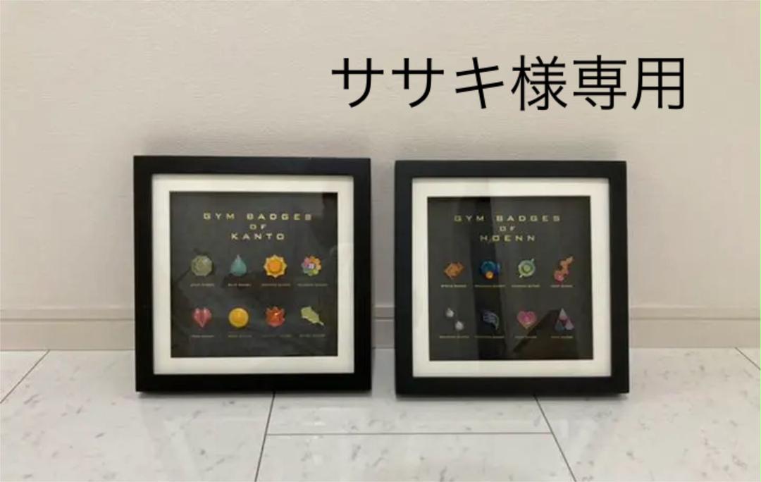 41 割引ブラック系 ラッピング不可 ポケモン ジムバッジ コレクション ホウエン キャラクターグッズ おもちゃ ホビー グッズ ブラック系 Us Edu Cv