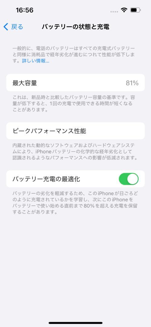 【美品・ケーブル付】iPhone 13 Pro 256GB グラファイト